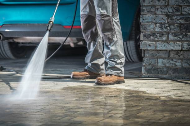 Best Vinyl Siding Pressure Washing in Tchula, MS